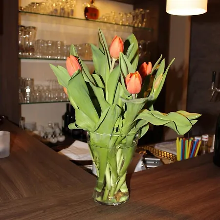 Hotel Rendsburg Hotell